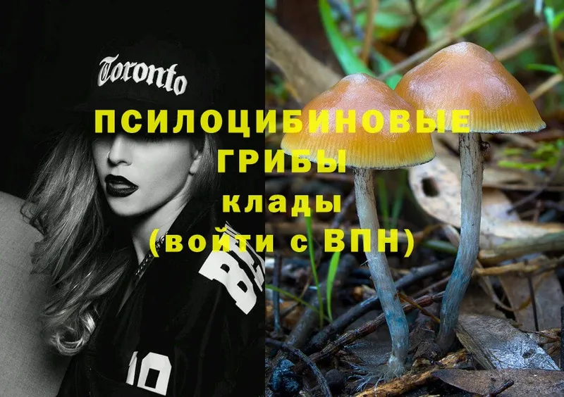 hydra рабочий сайт  Мурино  Псилоцибиновые грибы Psilocybe 